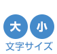 文字サイズ